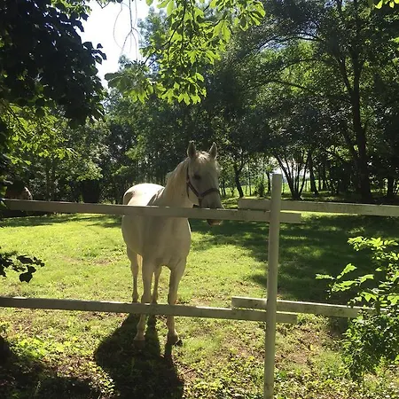 普霍尔旅馆 招待所 3*