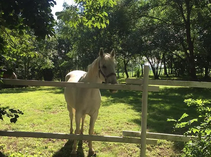 Le Pujol בית הארחה 3*